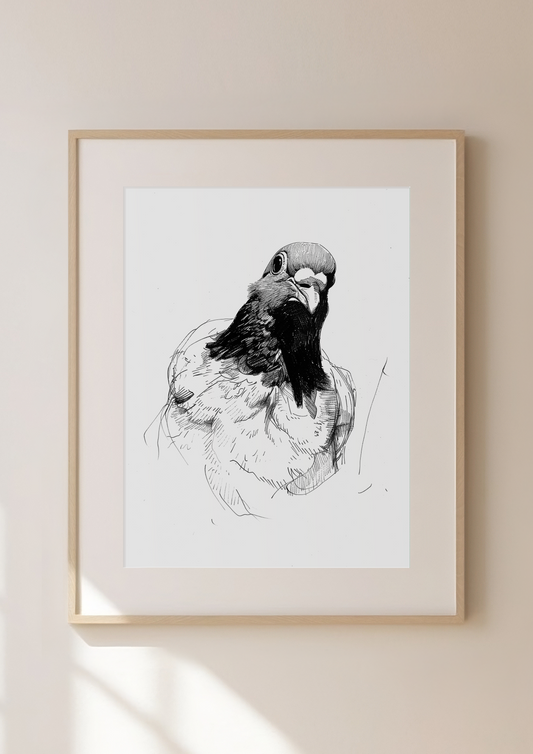 Pigeon Art Print - "Love Birds" Limited Edition 09