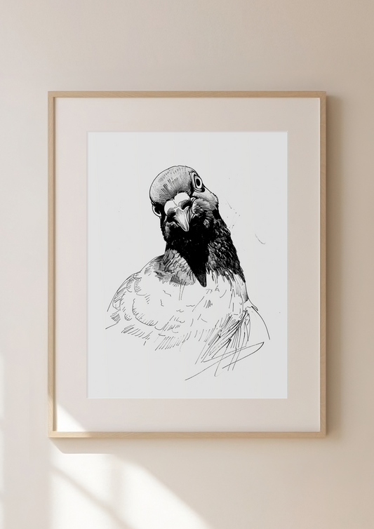 Pigeon Art Print - "Love Birds" Limited Edition 12