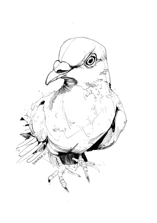 Pigeon Art Print 29